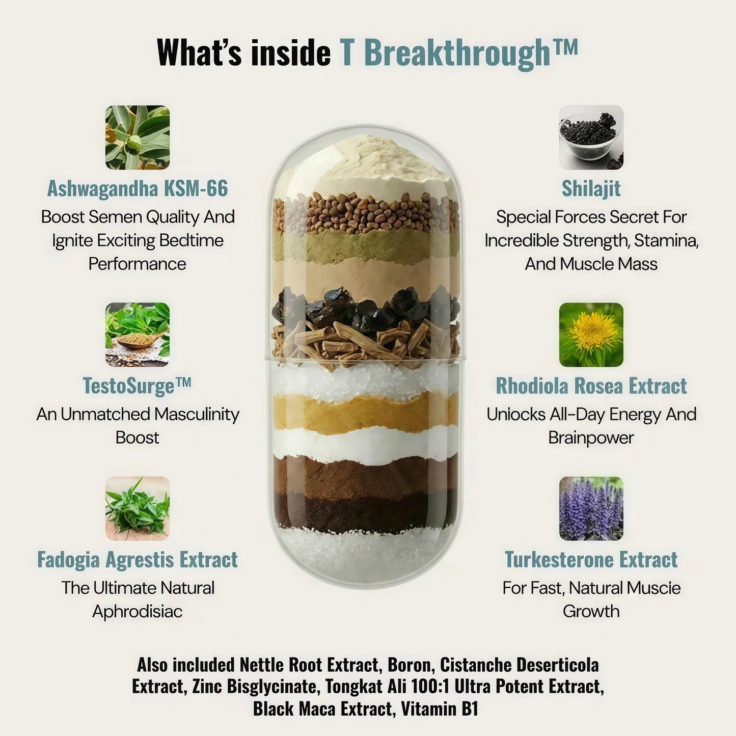 Beyond Alpha Testosterone Breakthrough